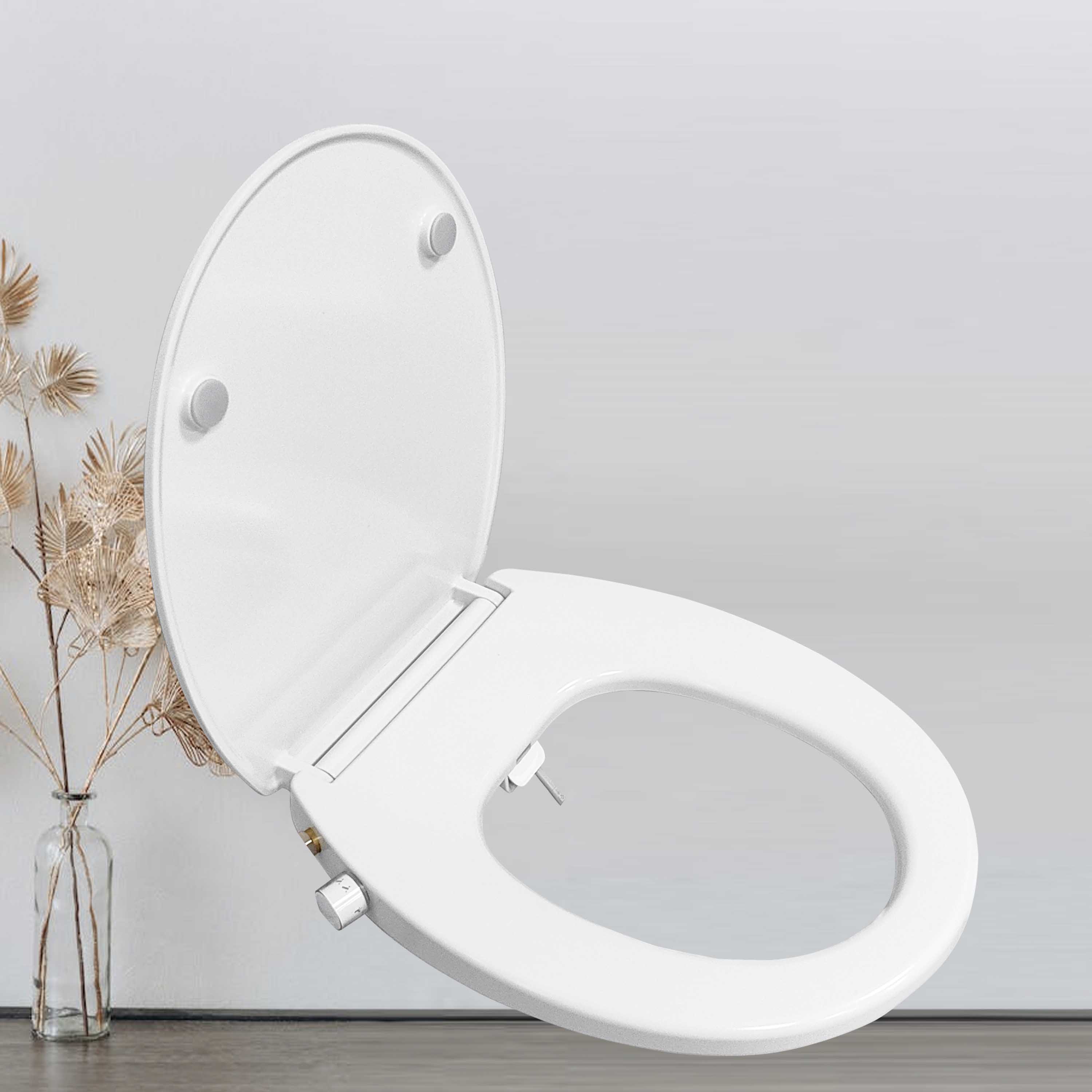 toilet seat wc